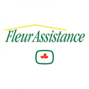Logo Fleur Assistance