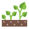 plantes